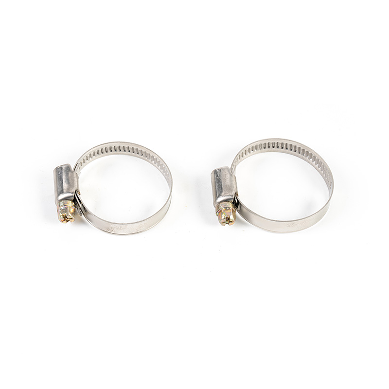 Worm Gear Stainless Steel Hose Clamp Kit Worm Gear Stainless Steel Hose Clamp Kit