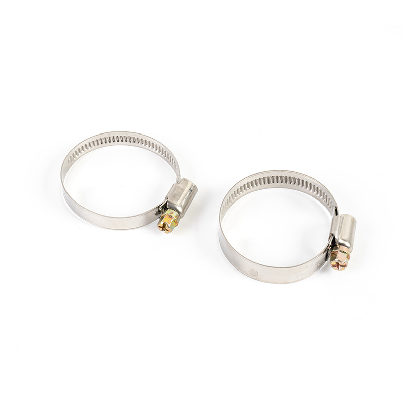 Worm Gear Stainless Steel Hose Clamp Kit Worm Gear Stainless Steel Hose Clamp Kit