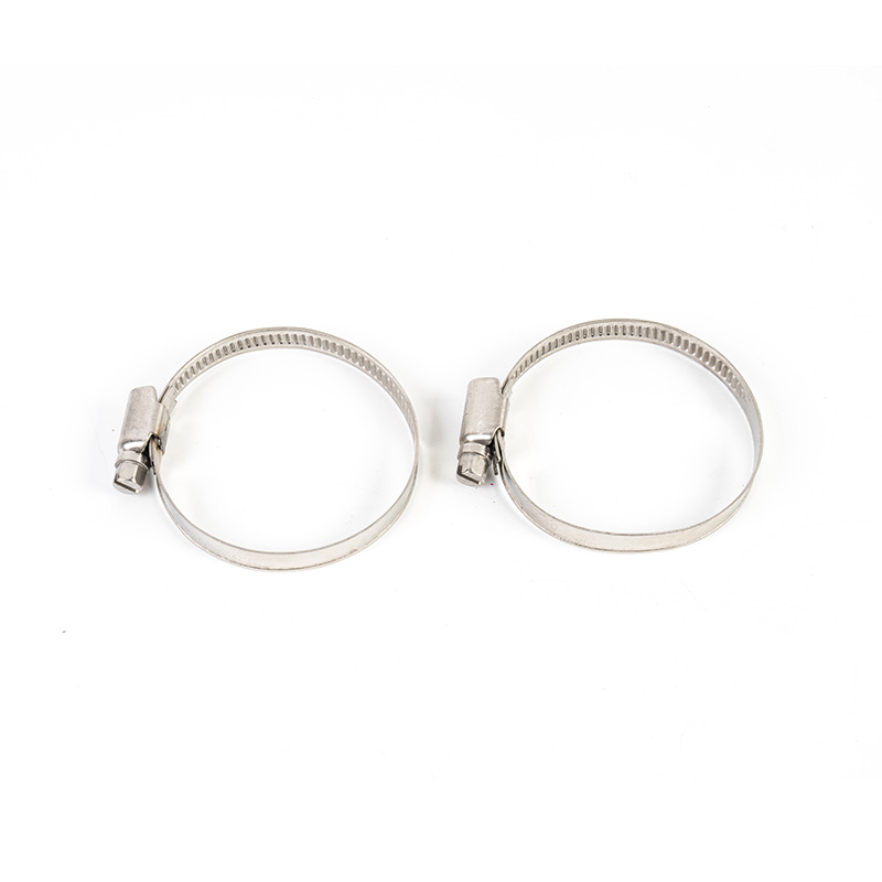 Worm Gear Stainless Steel Hose Clamp Kit Worm Gear Stainless Steel Hose Clamp Kit