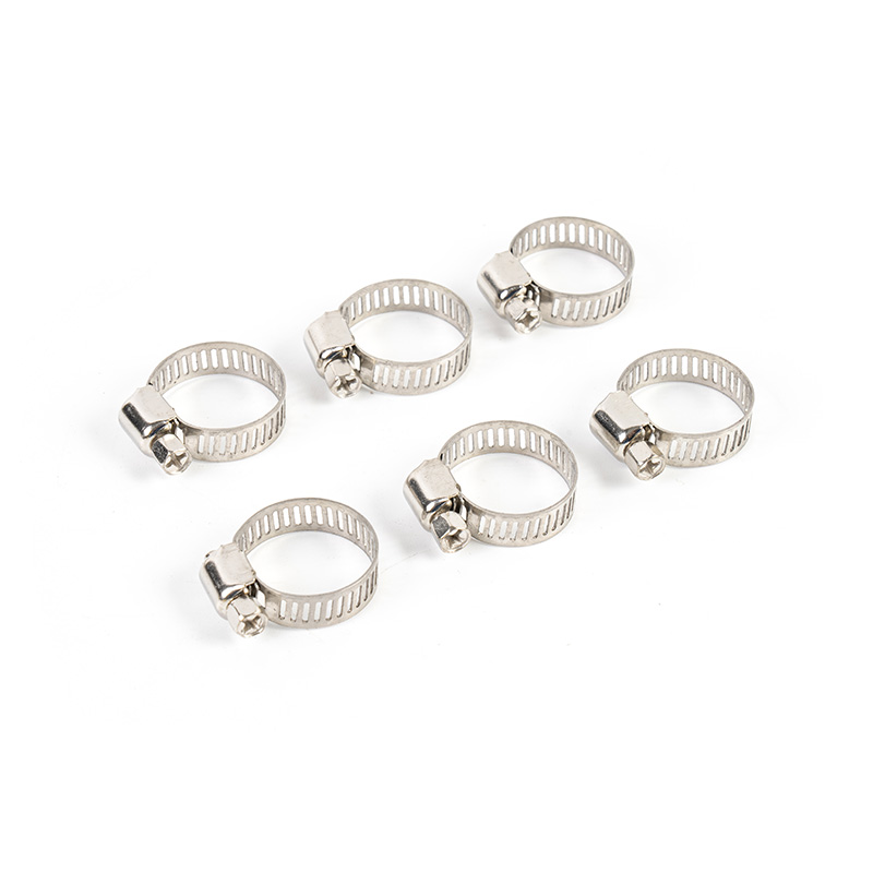 Worm Gear Stainless Steel Hose Clamp Kit Worm Gear Stainless Steel Hose Clamp Kit