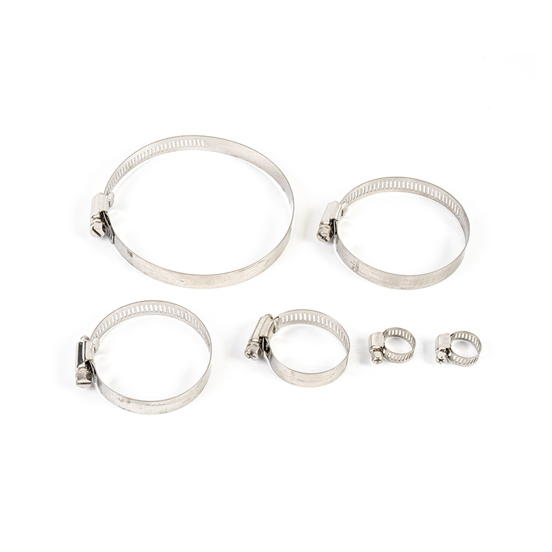 Worm Gear Stainless Steel Hose Clamp Kit Worm Gear Stainless Steel Hose Clamp Kit