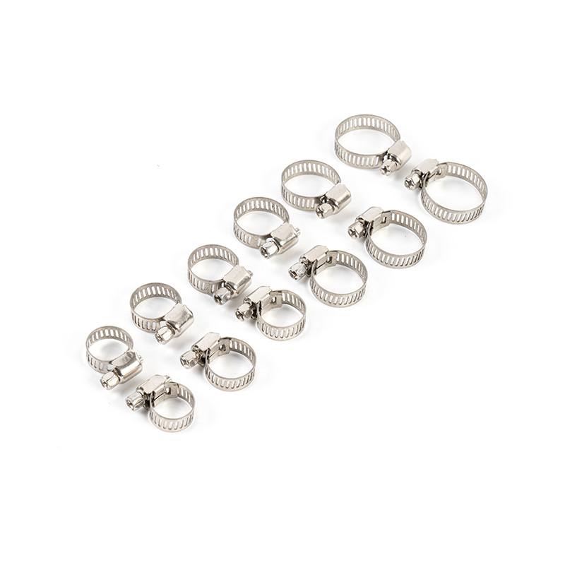 Worm Gear Stainless Steel Hose Clamp Kit Worm Gear Stainless Steel Hose Clamp Kit